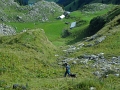 Wanderung Naus Gulms 1836m 14_08_2011 (110)